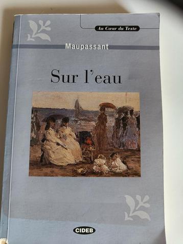 Franstalig luisterboek Sur l'eau Maupassant  beschikbaar voor biedingen