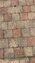 Betonklinkers +- 12m2 (zelf verwijderen), Tuin en Terras, Ophalen, Gebruikt, Klinkers, 10 m² of meer