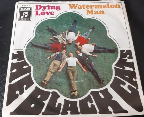 The Black Cats – Dying Love, Cd's en Dvd's, Vinyl Singles, Gebruikt, Single, R&B en Soul, 7 inch, Ophalen of Verzenden