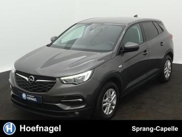 Opel Grandland X 1.2 Turbo Enjoy | Trekhaak | Stoel-/Stuurve beschikbaar voor biedingen