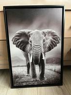 Olifant op canvas schilderij, Huis en Inrichting, Woonaccessoires | Schilderijen, Tekeningen en Foto's, Ophalen, Zo goed als nieuw