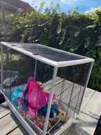 2 knaagdier kooien met toebehoren, Dieren en Toebehoren, Ophalen, Kooi, Gebruikt, 60 tot 90 cm
