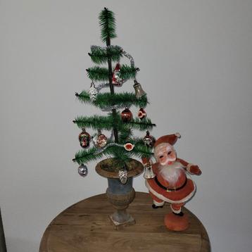 Groene feathertree beschikbaar voor biedingen