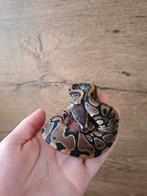 Mooi wildkleur pos het ghost/hypo man nk25, Slang, 0 tot 2 jaar
