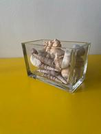 Glazen accubak met schelpen, Ophalen, Overige kleuren, Minder dan 50 cm, Glas