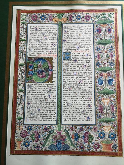 Kunstdruk - Rijkgeillustreerde gekaligrafeerde pagina, Antiek en Kunst, Kunst | Litho's en Zeefdrukken, Ophalen of Verzenden