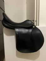 Prestige roma, Dieren en Toebehoren, Ophalen, Zo goed als nieuw, Springen