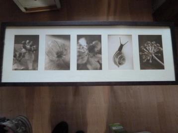 IKEA wanddecoratie Stenbrohult beschikbaar voor biedingen