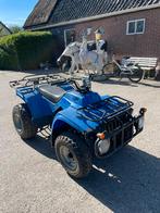 Nette quad te koop 250 cc, Motoren, Quads en Trikes