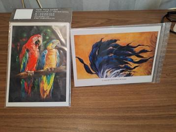 Te Koop voorbeelden van Gary Jenkins beschikbaar voor biedingen