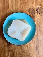 Scoby met startersvloeistof om je eigen kombucha te brouwen, Diversen, Levensmiddelen, Ophalen