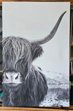 Schotse hooglander canvas/schilderij, Huis en Inrichting, Woonaccessoires | Schilderijen, Tekeningen en Foto's, Ophalen, Zo goed als nieuw