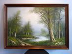Schilderij - Bos Ven Landschap, Ophalen, Gebruikt, 50 tot 75 cm, Schilderij