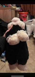 Leuke kruik, Ophalen, Nieuw