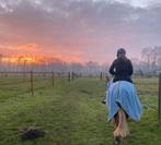 Verzorg pony gezocht!