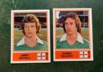 2 panini plaatjes Noord-Ierland Euro 80, Ophalen of Verzenden