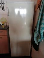 Grote koelkast  hoogte 140 cm, Ophalen, Zonder vriesvak, 120 tot 140 cm, Zo goed als nieuw