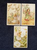 3x Flower Fairies ansichtkaarten, Ophalen of Verzenden, 1980 tot heden, Ongelopen