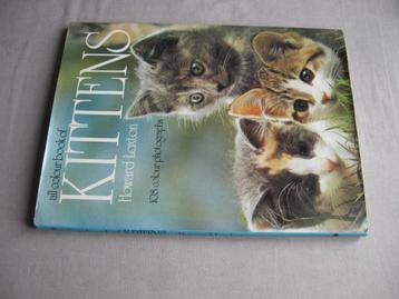Howard Loxton - all colour book of KITTENS (hardcover) beschikbaar voor biedingen