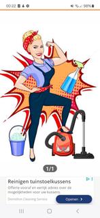 Schoonmaakhulp gezocht., Variabele uren, Overige niveaus, Starter, Overige vormen