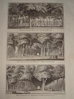 gravures Haarlemmerhout, Dronkenhuisje Haarlem 1761 Spilman, Antiek en Kunst, Kunst | Etsen en Gravures, Verzenden