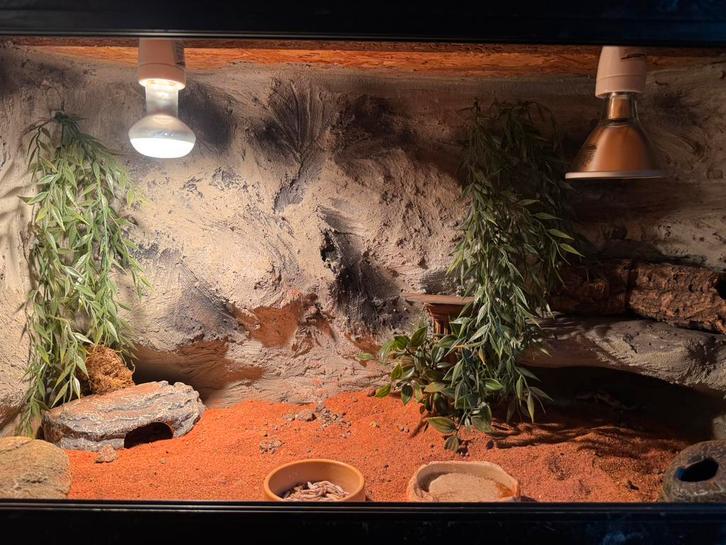 osb  terrarium 90x50x40 3d achterwand nieuw, Dieren en Toebehoren, Reptielen en Amfibieën | Toebehoren, Zo goed als nieuw, Terrarium of Paludarium