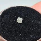 DIAMANT!, Ophalen of Verzenden, Mineraal