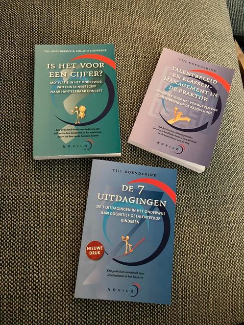 Boeken Tijl Koenderink - Getalenteerde Kinderen, Boeken, Psychologie, Zo goed als nieuw, Overige onderwerpen, Ophalen of Verzenden
