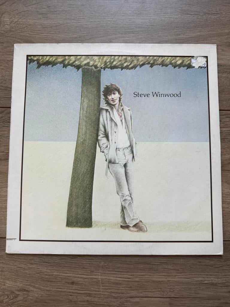 Steve Winwood - Steve Winwood vinyl lp, Cd's en Dvd's, Vinyl | Pop, Ophalen of Verzenden, 12 inch