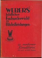 Webers bildlicher Fachunterricht zu Hochstleistungen in, Ophalen of Verzenden, Gelezen, Italië