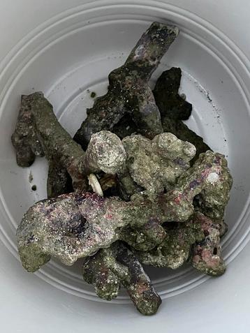 7x Dutch reef rock zeeaquarium stenen. beschikbaar voor biedingen