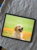 Ipad pro 12.9 2018 3e derde generatie 256 GB Spacegrijs, Computers en Software, Apple iPads, Apple iPad, Nieuw, 12 inch, Ophalen of Verzenden