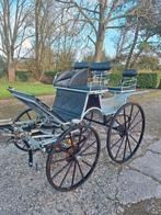 Tweespan rijtuig, Drie personen of meer, Overige typen