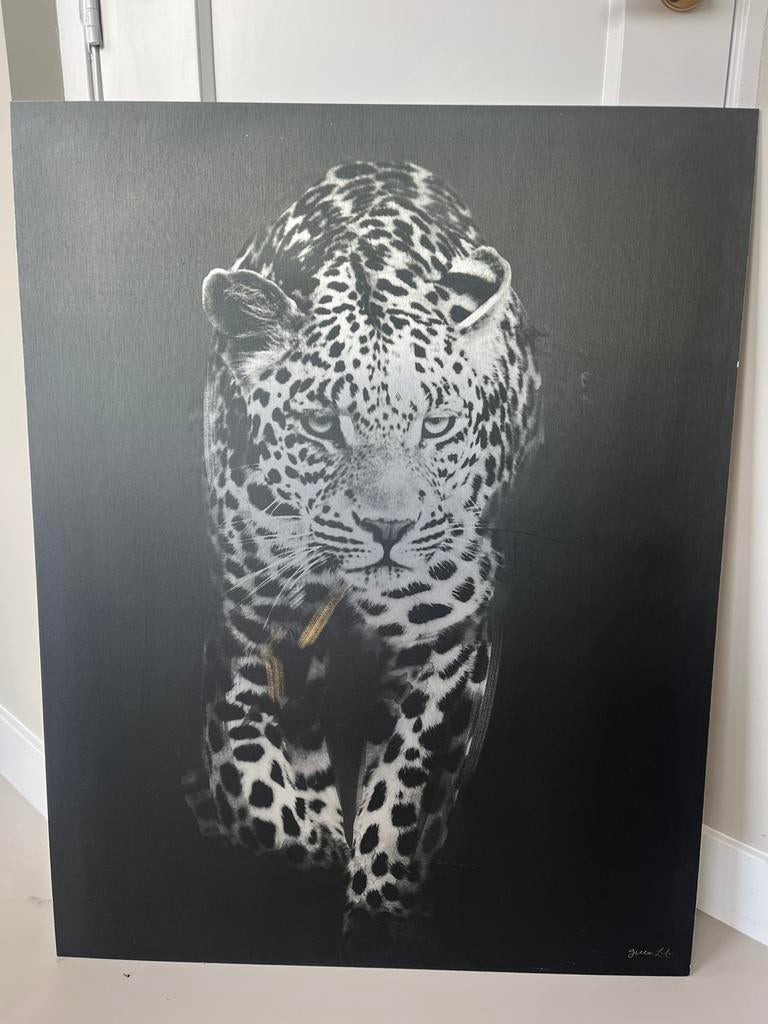 Foto panter op aluminium, Ophalen of Verzenden, Zo goed als nieuw, 75 cm of meer