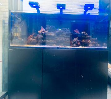Red Sea aquarium  525 XL 10 maanden oud beschikbaar voor biedingen