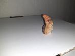 Egel met ijsmuts, dierfiguur 4 cm, Verzamelen, Dierenverzamelingen, Gebruikt, Beeldje of Figuurtje, Verzenden