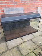 Gratis aquarium LEK 80cm, Dieren en Toebehoren, Vissen | Aquaria en Toebehoren, Ophalen, Gebruikt, Leeg aquarium