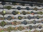 Grastegels - Ideaal voor oprit of tuin!, Tuin en Terras, Tegels en Klinkers, Ophalen, Gebruikt, Overige typen, 10 m² of meer