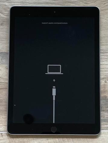 Niet werkende iPad A 1893 WIFI 6e generatie beschikbaar voor biedingen