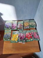 Bloembollen mix - Voorjaarsbloeiers, Ophalen of Verzenden, Najaar, Volle zon, Bloembol