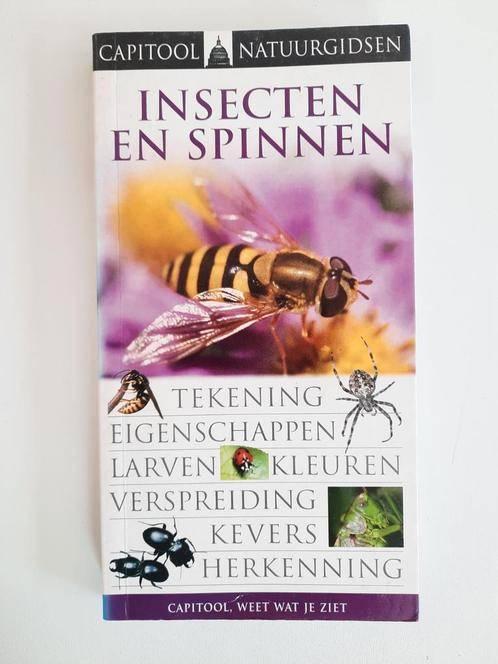 Capitool veldgids Insecten en spinnen . George C. MacGavin, Boeken, Natuur, Gelezen, Natuur algemeen, Ophalen of Verzenden