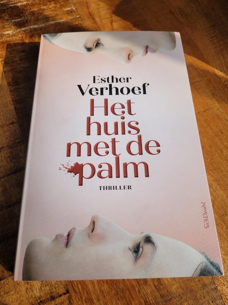 Esther Verhoef - Het huis met de palm, Gelezen, Ophalen of Verzenden, Nederland, Esther Verhoef