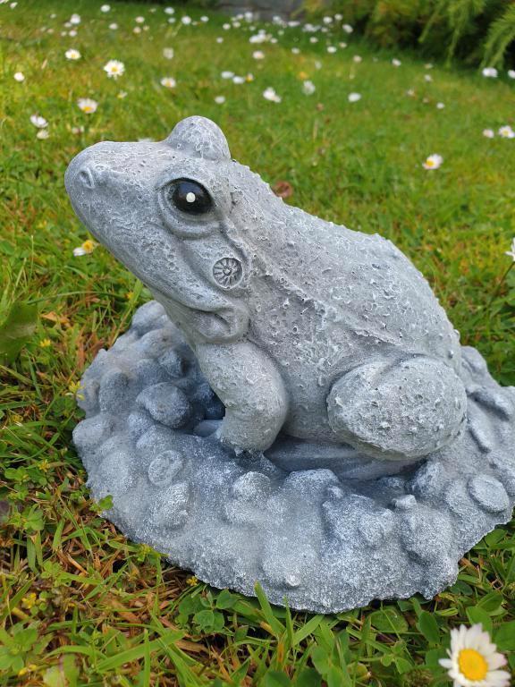 tuinbeeld van een kikker , beton, Tuin en Terras, Tuinbeelden, Nieuw, Ophalen of Verzenden
