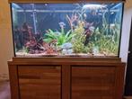 Groot Aquarium aquatlantis, Ophalen, Gebruikt, Gevuld zoetwateraquarium