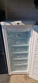 Liebherr vriezer 6 lades no frost
Hoogte 1., Vrieskast, Gebruikt, Energieklasse A of zuiniger, 160 cm of meer