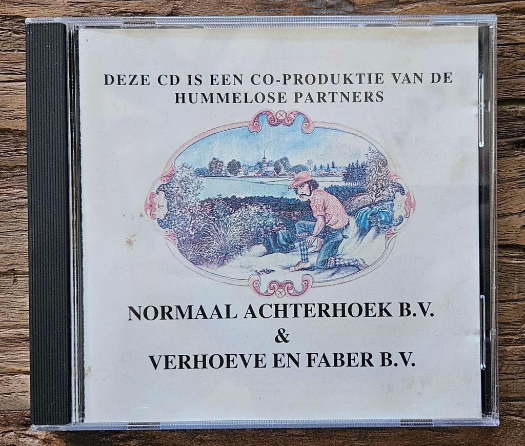 Normaal Achterhoek B.V cd, Ophalen of Verzenden, Rock