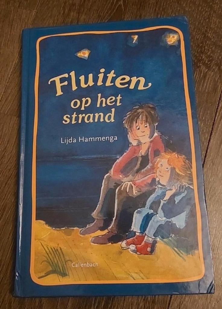 Fluiten op het strand - vanaf 4 jaar, Ophalen of Verzenden, Zo goed als nieuw, Lijda Hammenga