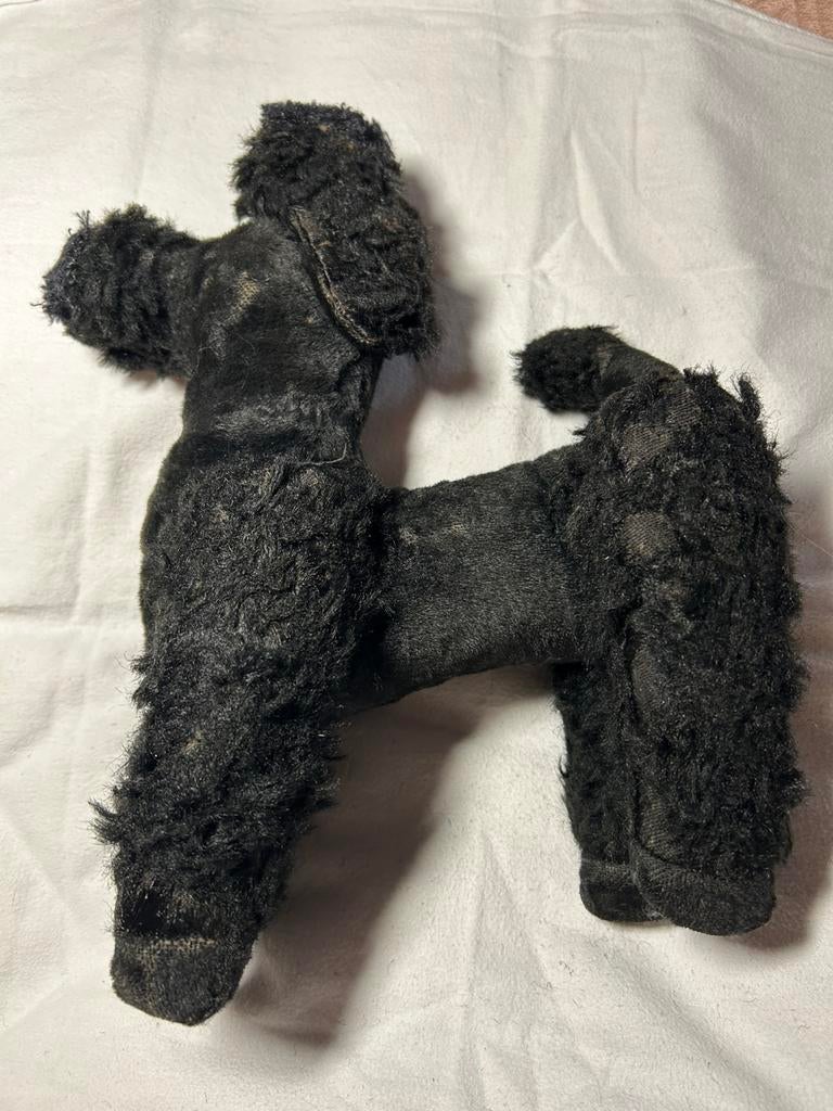 Grote Vintage Steiff knuffel poedel “Snobby” jaren ‘50-‘60, Ophalen of Verzenden