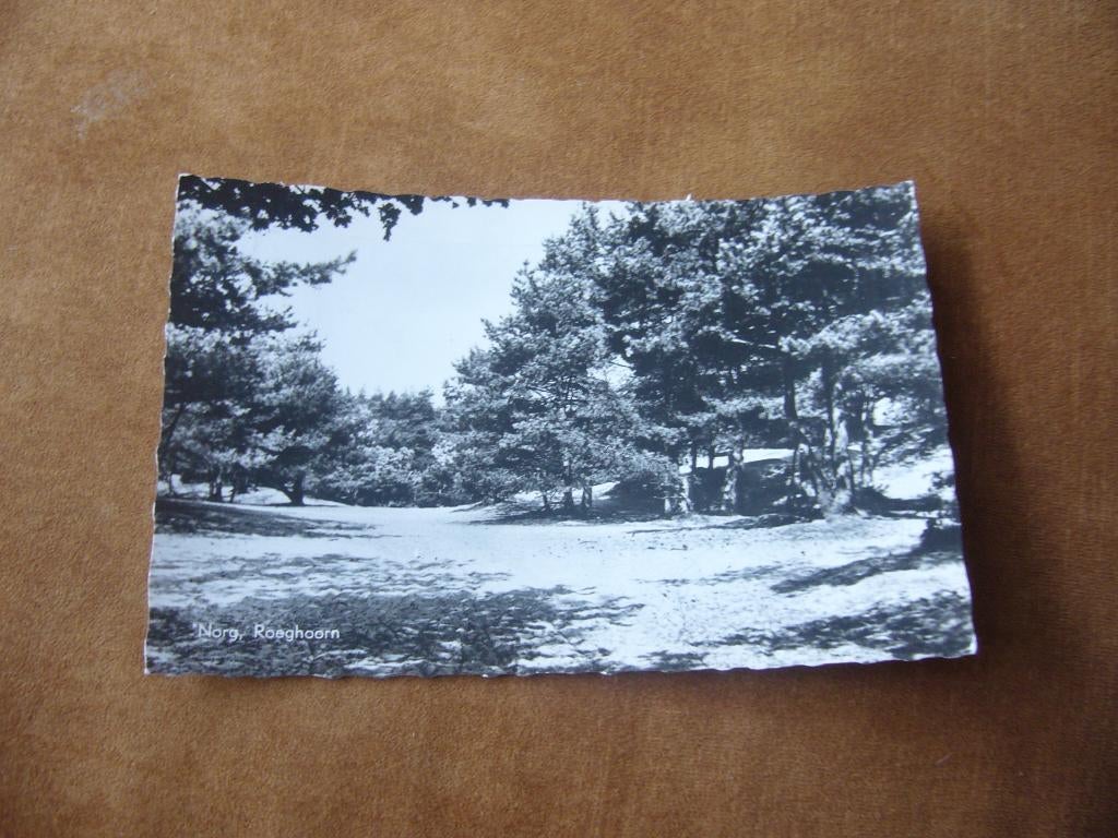 NORG  =  ROEGHOORN, Ophalen of Verzenden, 1940 tot 1960, Gelopen, Drenthe