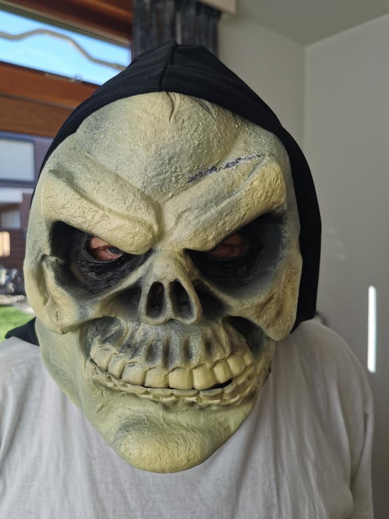 Masker, Ophalen of Verzenden, Zo goed als nieuw, Overige maten, Overige thema's